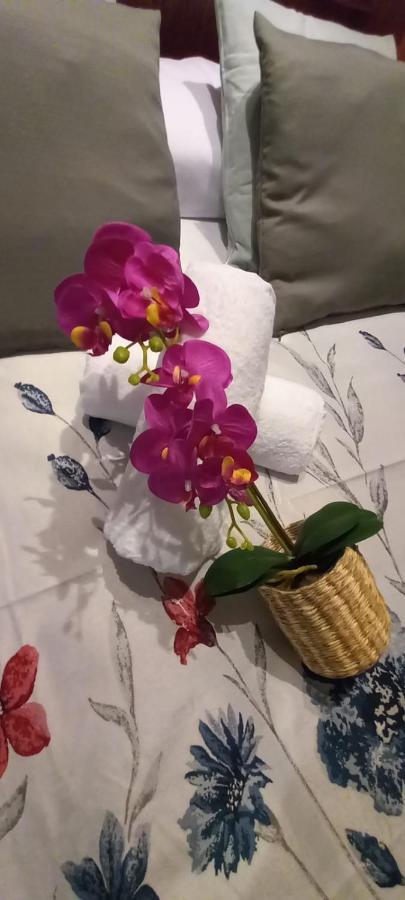 El Encanto De La Fueya Con Parking Gratuito Apartment Gijon Ngoại thất bức ảnh